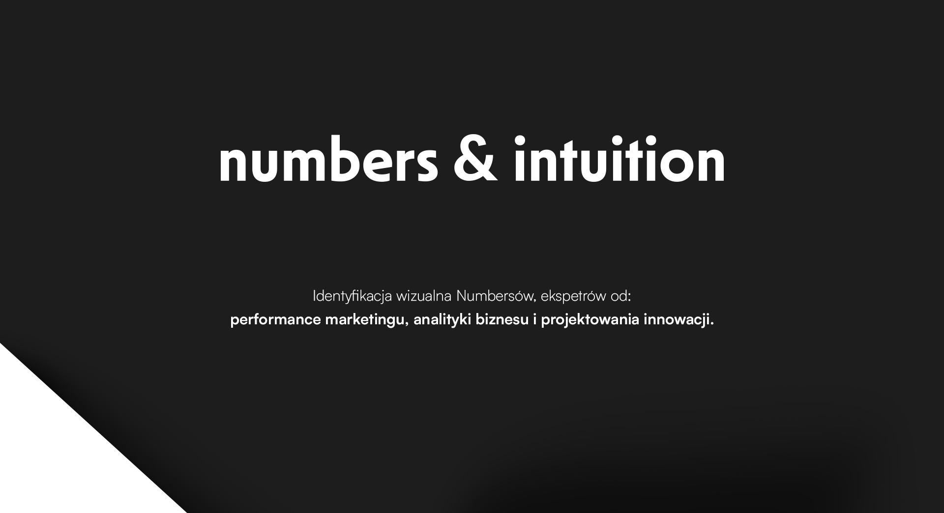 Branding agencji numbers & intuition